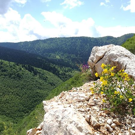 MontenegrinaBiH, Petrovici, Istocno SJJ Esterno foto