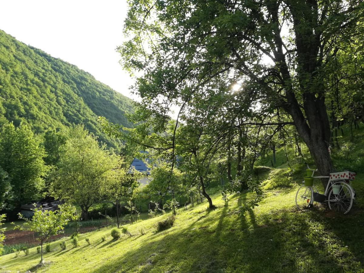 MontenegrinaBiH, Petrovici, Istocno SJJ Esterno foto