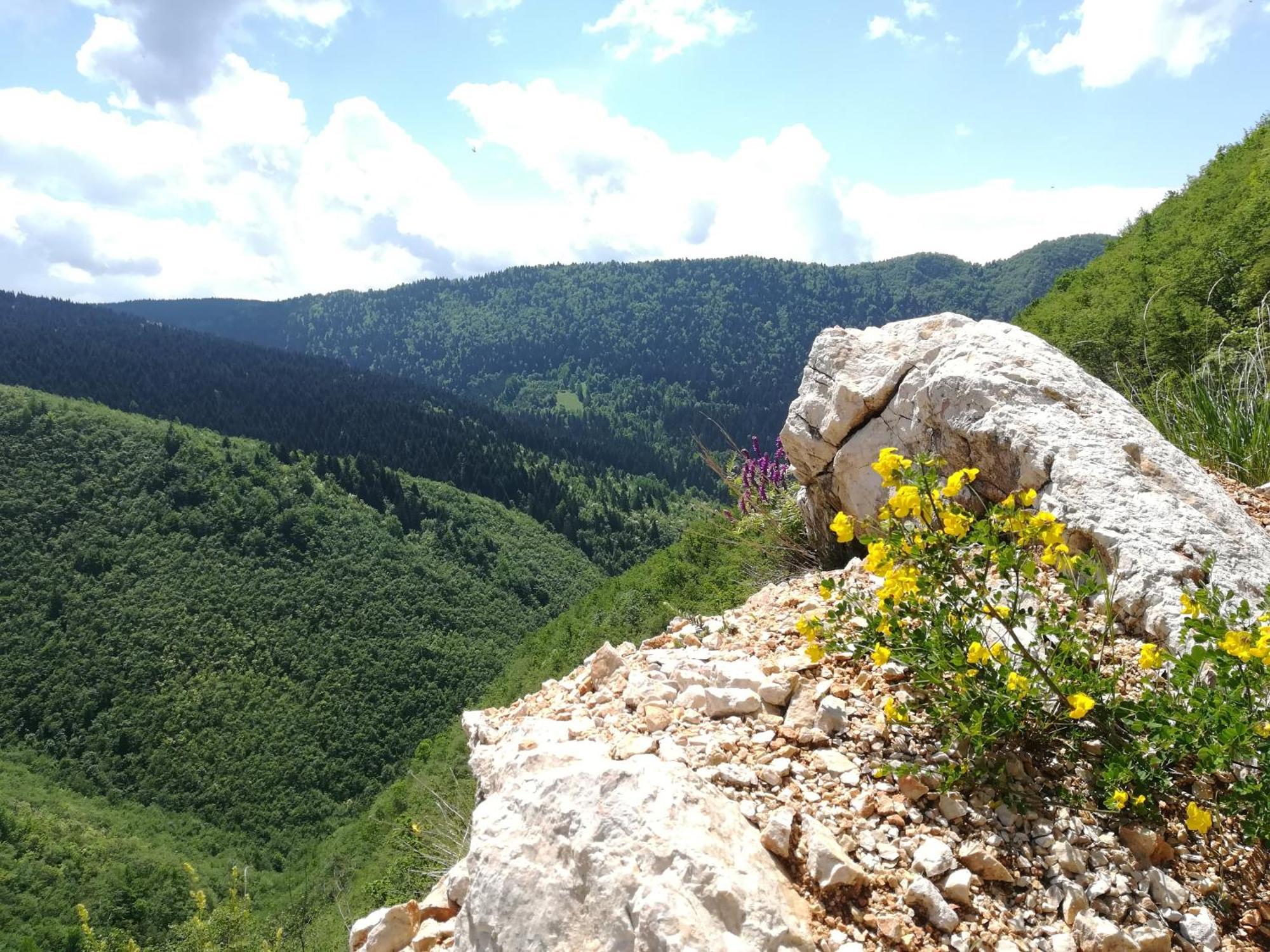 MontenegrinaBiH, Petrovici, Istocno SJJ Esterno foto