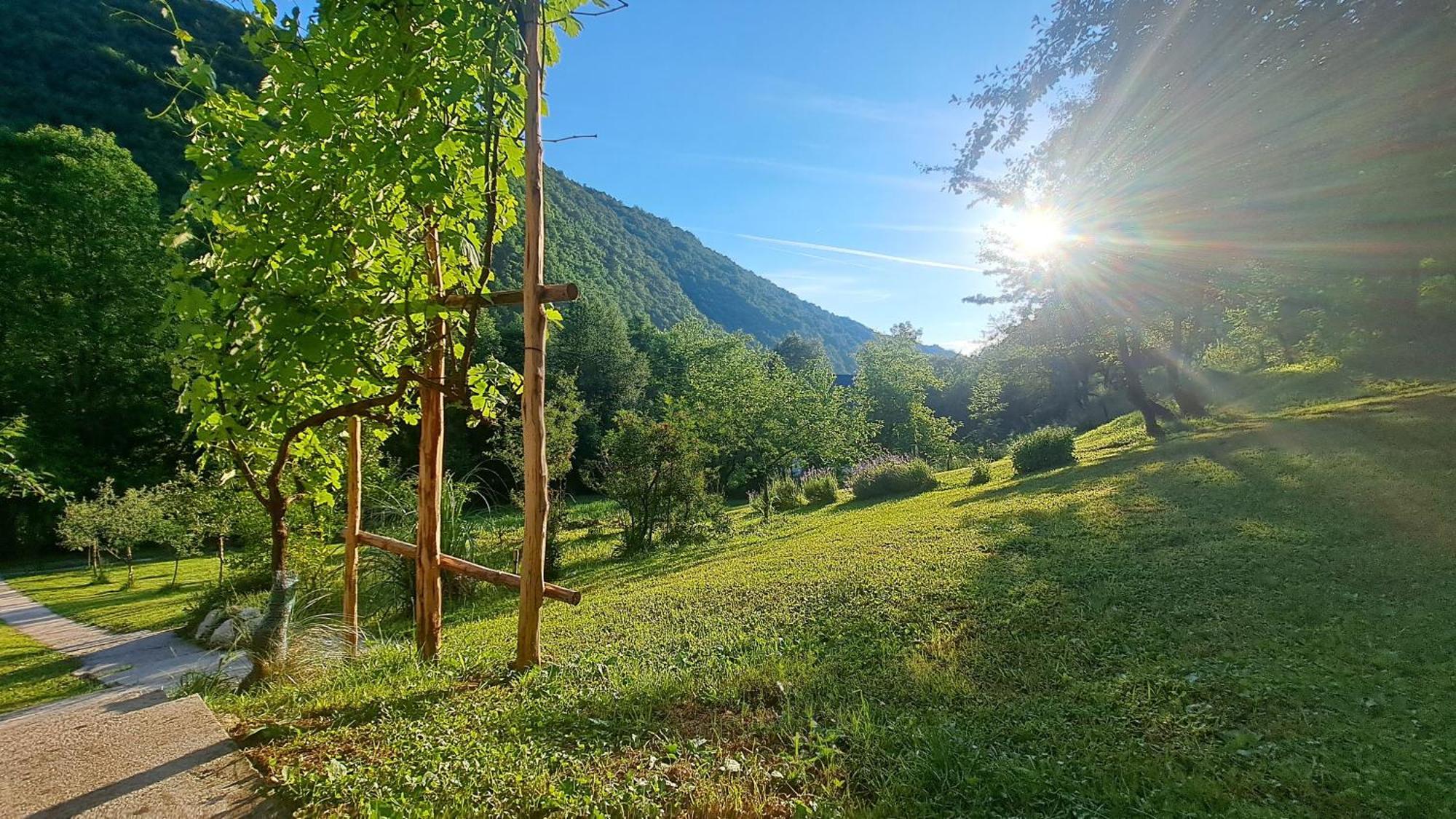 MontenegrinaBiH, Petrovici, Istocno SJJ Esterno foto